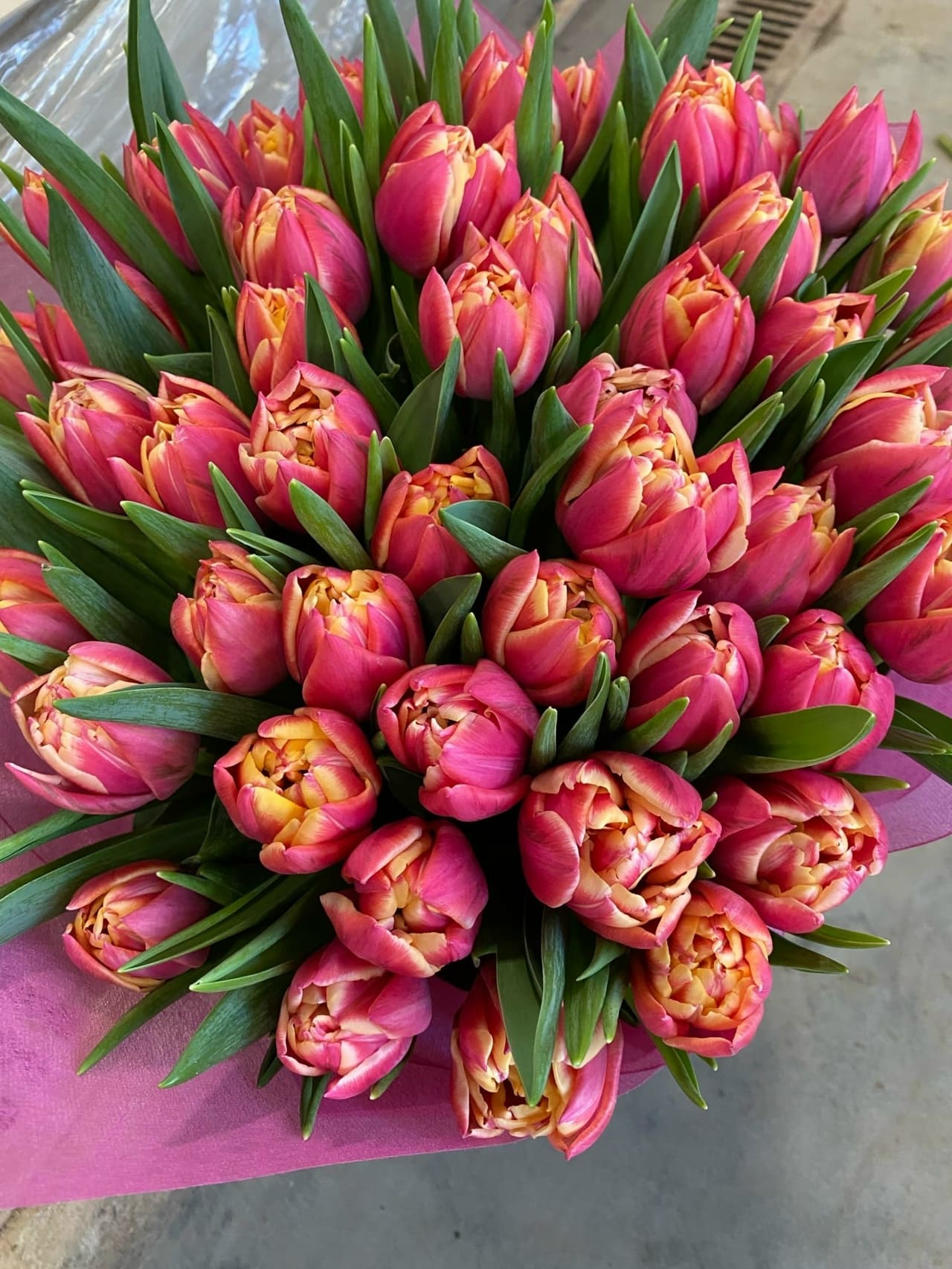 ПРИНИМАЕМ ЗАЯВКИ ТЮЛЬПАНЫ(СРЕЗКА) МАРТ 2026 года в розницу