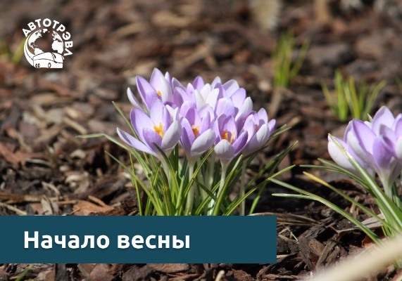 Весенние поездки с АвтоТрэвл: начните сезон путешествий!