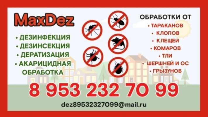 Профессиональная обработка от вредителей в любом помещении